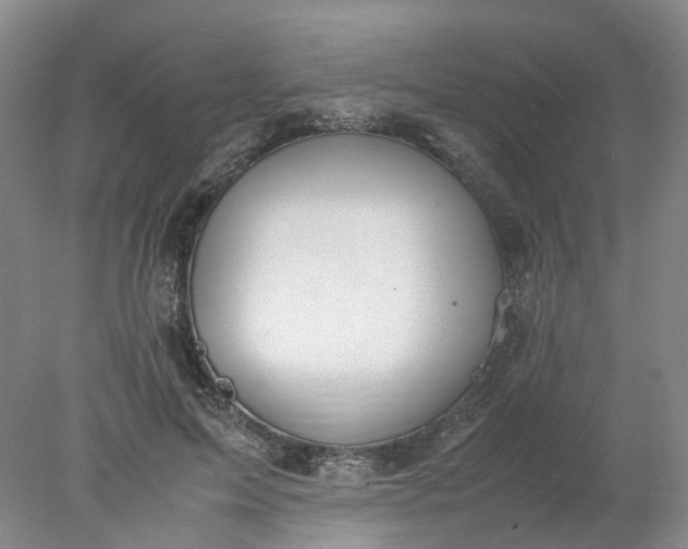 X0000077990599200611101730