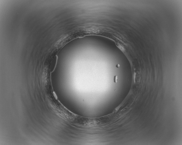 X0000077990600200611101730