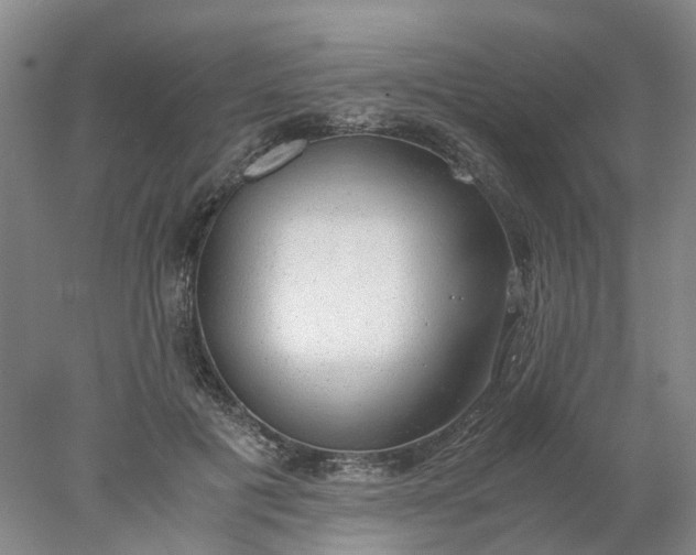 X0000077990601200611101730