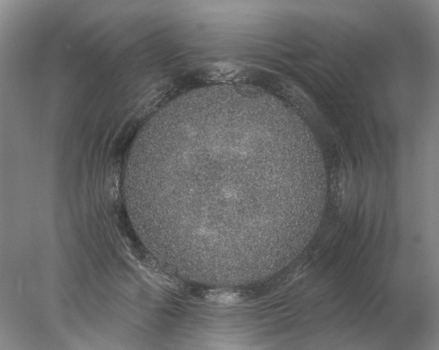 X0000077990602200611101730