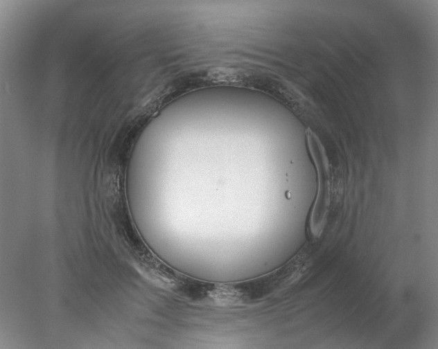 X0000077990603200611101730