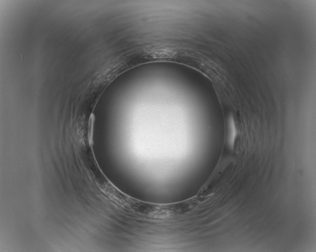 X0000077990604200611101730