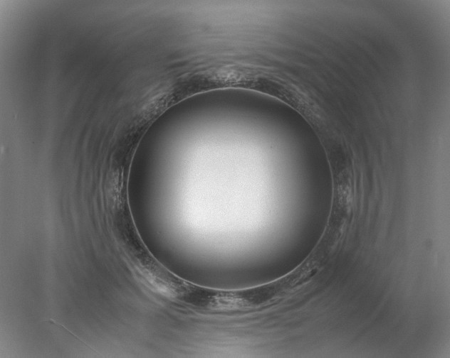 X0000077990605200611101730