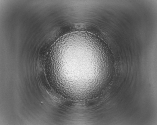 X0000077990606200611101730