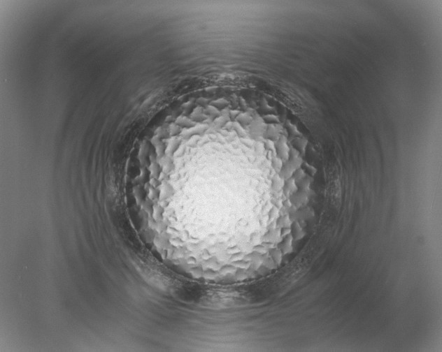 X0000077990607200611101730