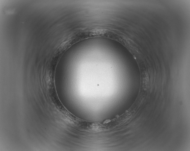 X0000077990608200611101730