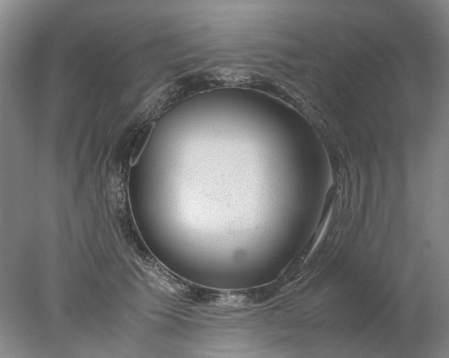 X0000077990609200611101730