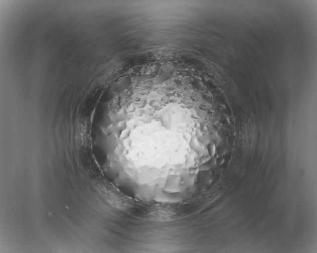 X0000077990610200611101730