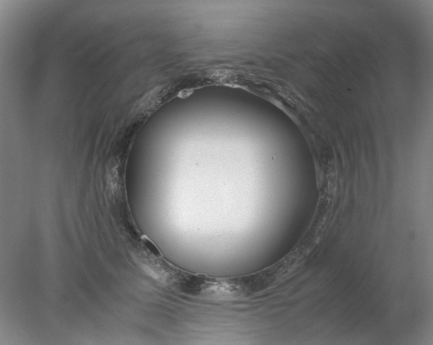 X0000077990611200611101730