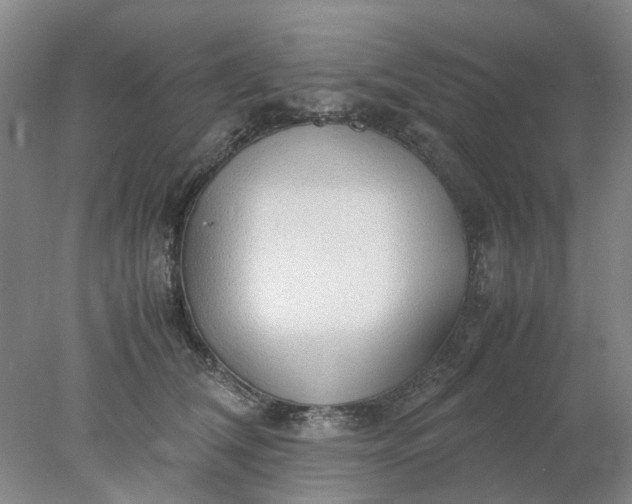 X0000077990612200611101730