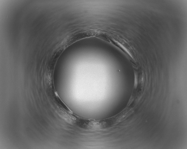 X0000077990613200611101730