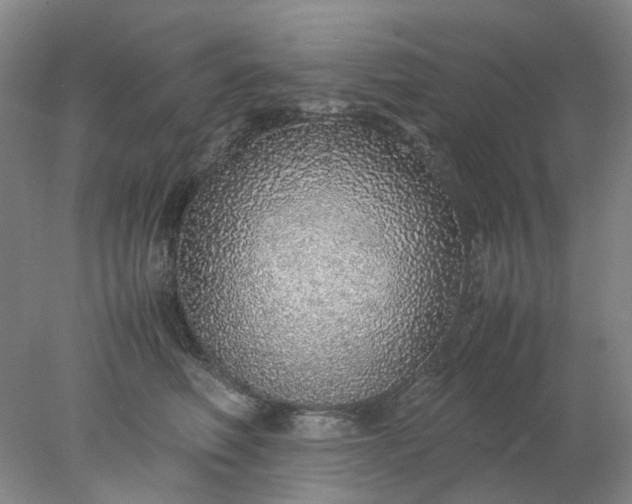 X0000077990614200611101730