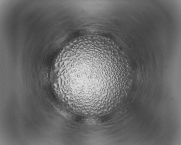 X0000077990615200611101730