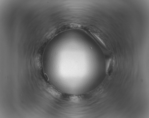 X0000077990616200611101730