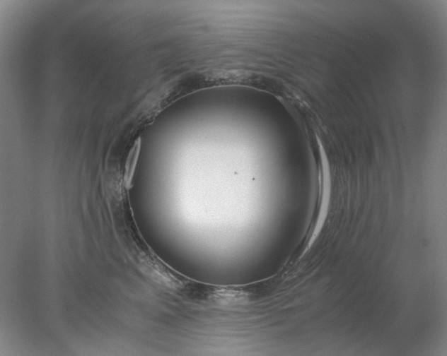 X0000077990617200611101730