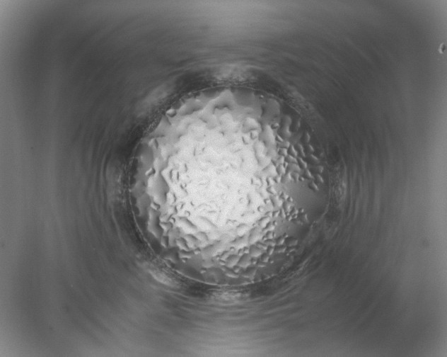 X0000077990619200611101730