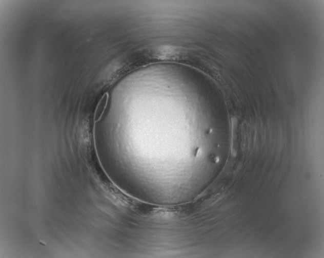 X0000077990620200611101730