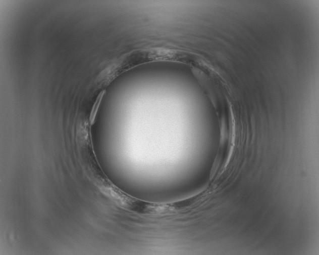 X0000077990621200611101730