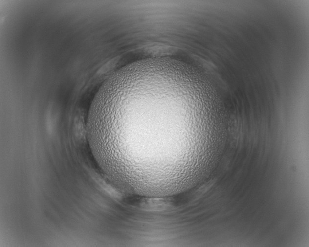 X0000077990622200611101730