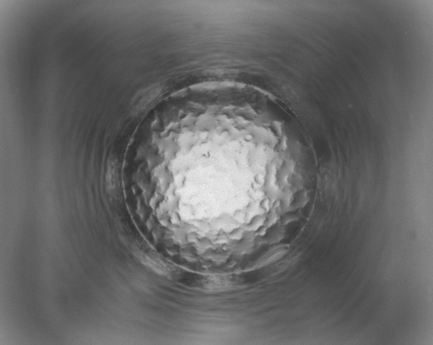 X0000077990623200611101730