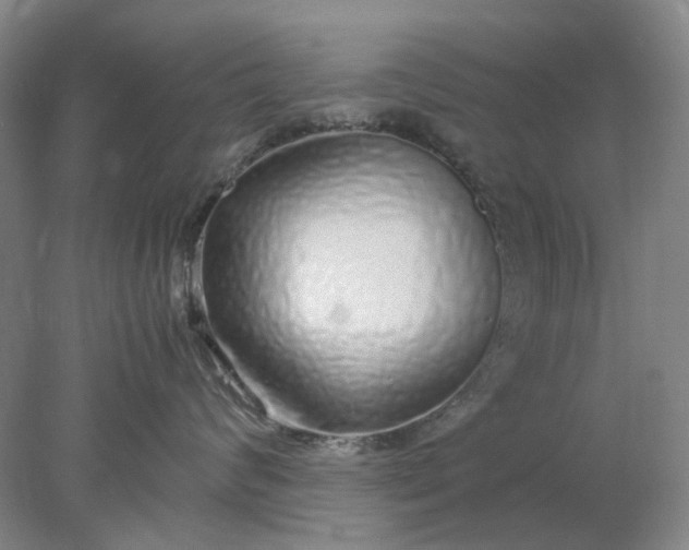 X0000077990624200611101730