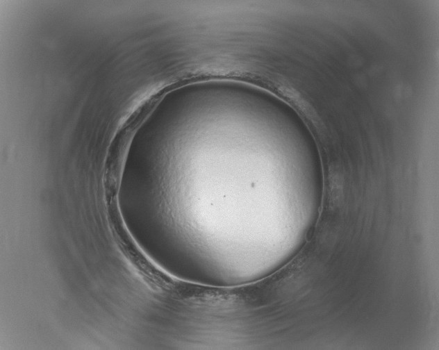 X0000077990626200611101729