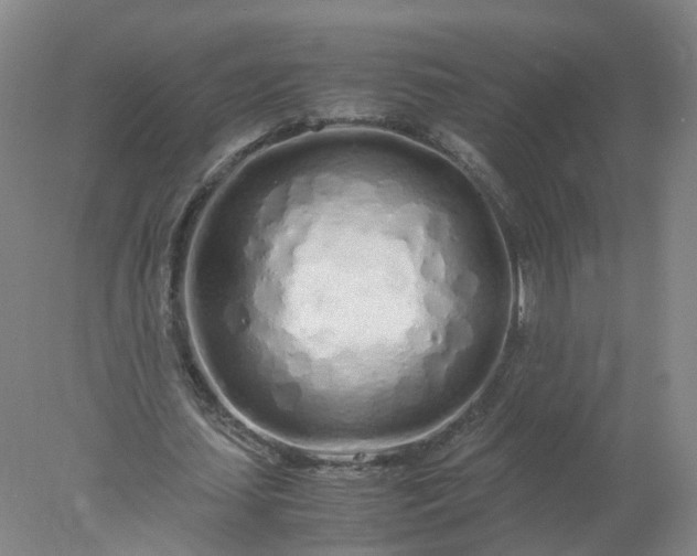 X0000077990627200611101729