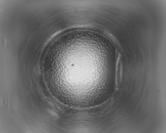 X0000077990628200611101729