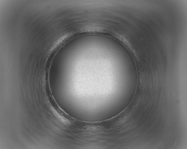 X0000077990629200611101729