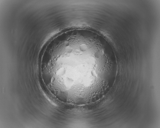 X0000077990630200611101729