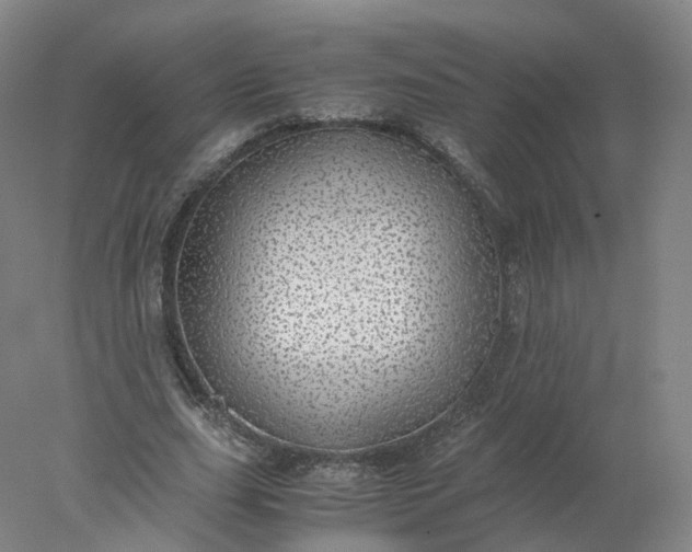 X0000077990631200611101729