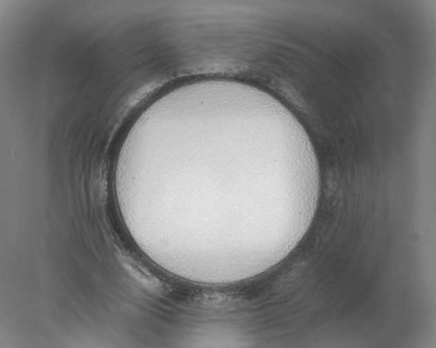 X0000077990632200611101729