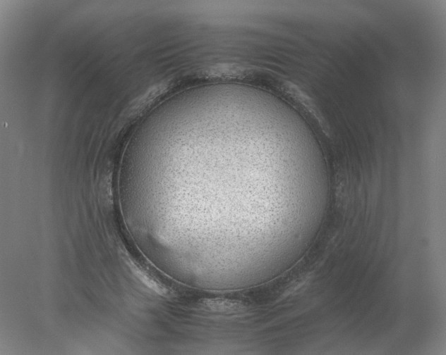 X0000077990633200611101729