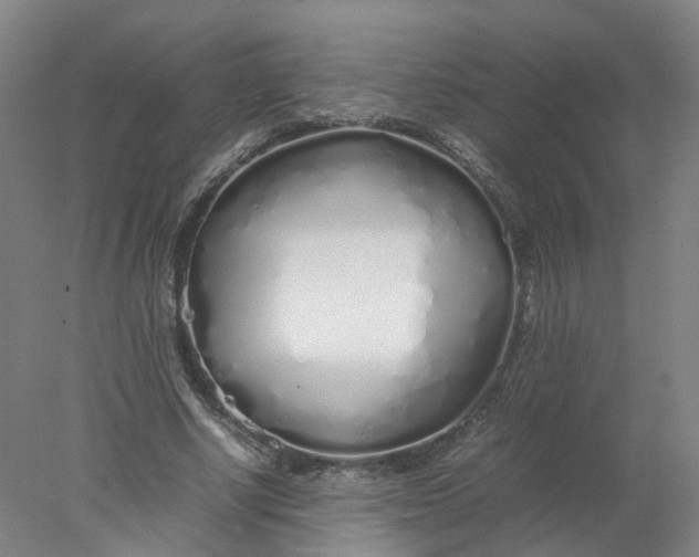 X0000077990634200611101729