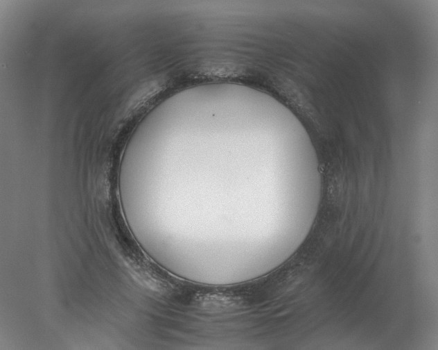 X0000077990635200611101729