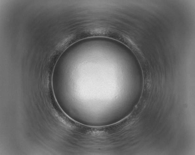 X0000077990637200611101729