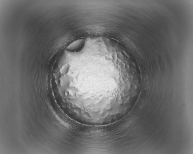 X0000077990638200611101729