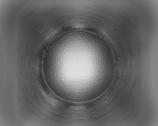 X0000077990639200611101729