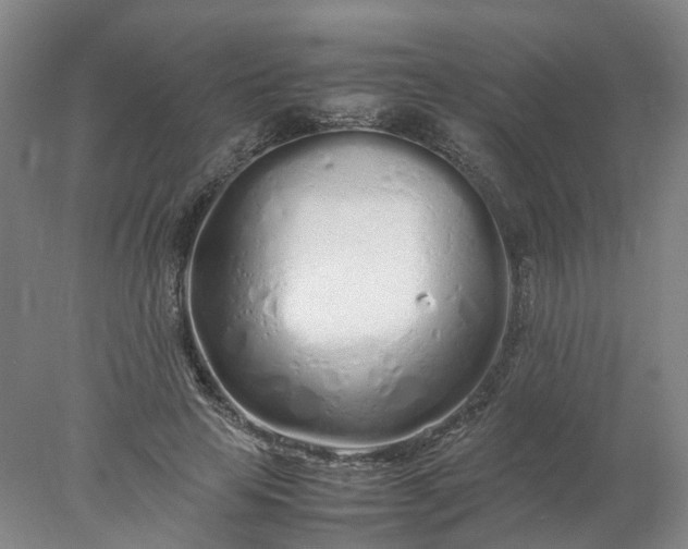 X0000077990641200611101729