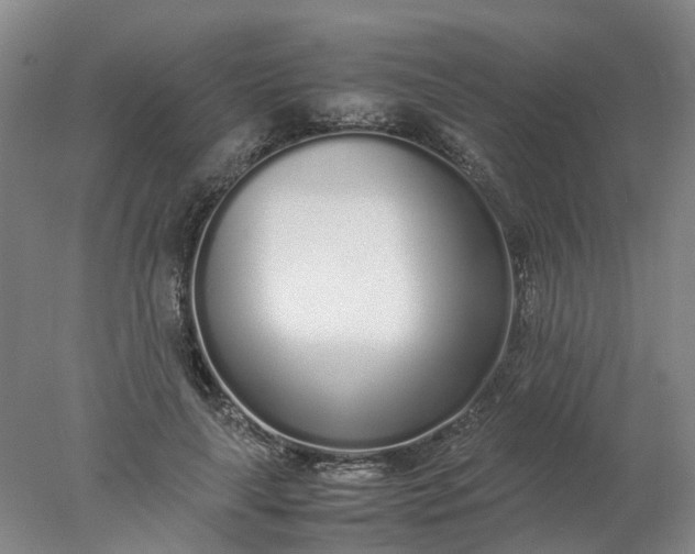 X0000077990643200611101729