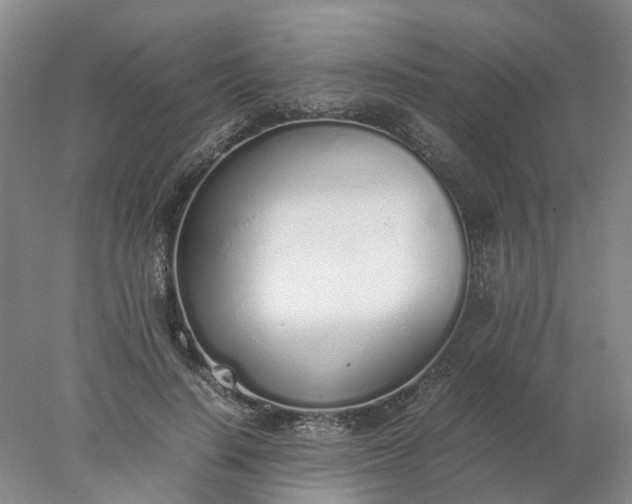 X0000077990644200611101729