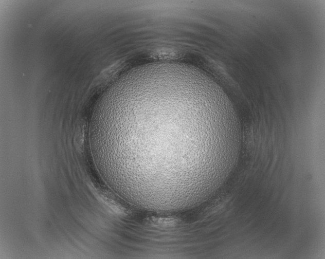 X0000077990645200611101729