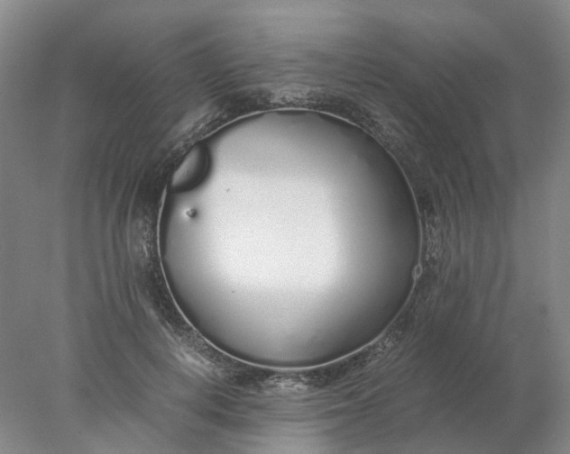 X0000077990648200611101729