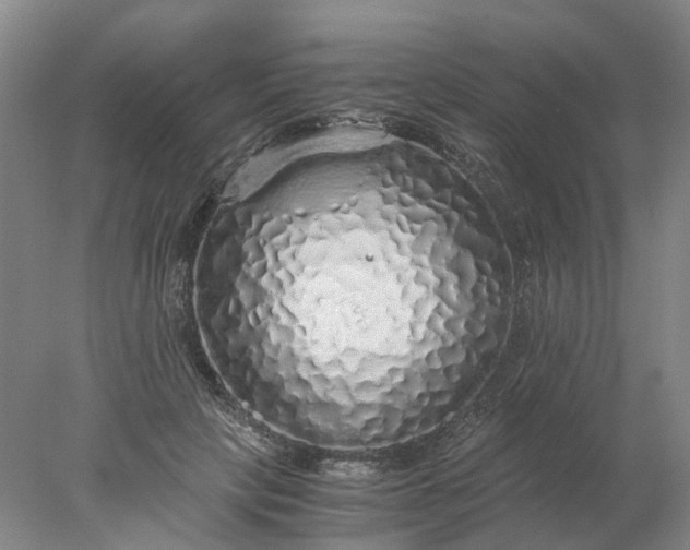 X0000077990649200611101729