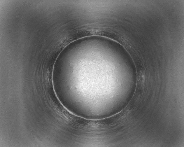 X0000077990650200611101729