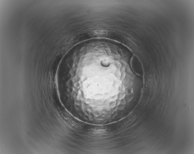 X0000077990651200611101729