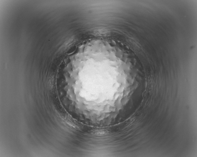 X0000077990652200611101729