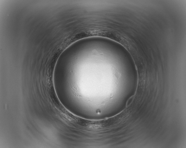 X0000077990653200611101729