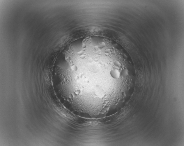 X0000077990654200611101729