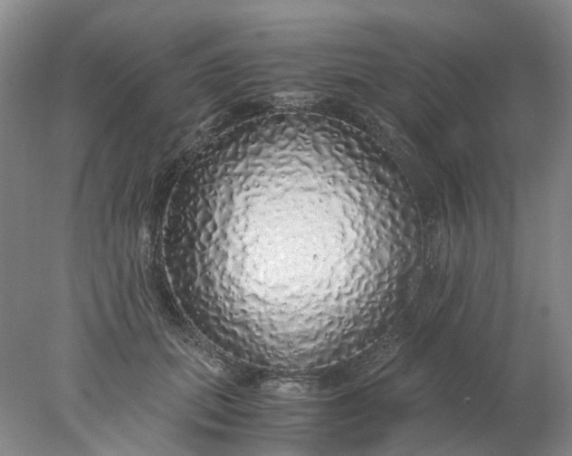 X0000077990655200611101729